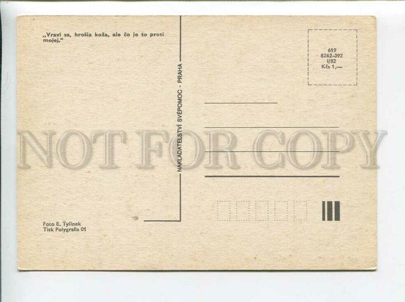 3179386 rhinoceros old postcard