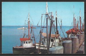 Massachusetts, Cape Cod - Fishing Boats At Dock - [MA-099]