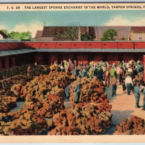 1936 Tarpon Springs Fla Largest Sponge Exchange Market Advertising Crowd PC A226
