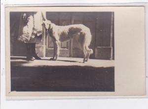 St-CYPRIEN : carte photo chenil du domaine des capeillans dressage chiens dom...