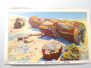 M-22626 Elephant Backs Painted Desert & In Third Forest Petrified Forest