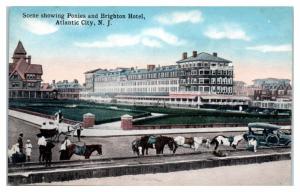 Early 1900s Scene showing Horses and Brighton Hotel, Atlantic City, NJ Postcard