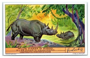 Rhinoceros, Congo Animals, Liebig Belgian Trade Card *VT32V