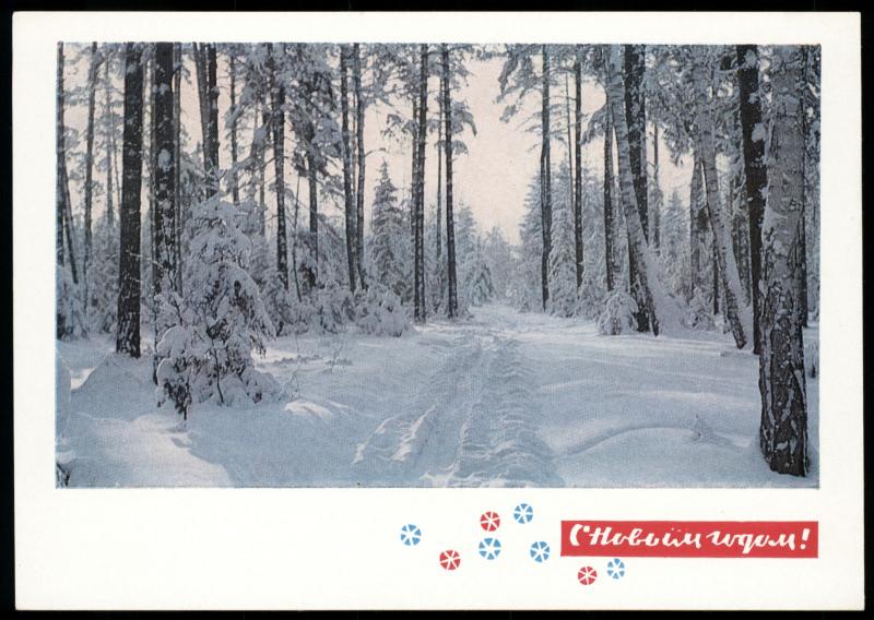 1968  Winter snow Forest by Dergilev New Year Russian Unposted postcard