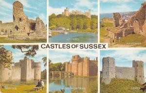uk9719 castles of sussex  uk