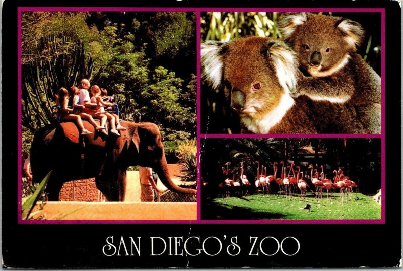 Postal antigua San Diego Zoo Elefante Koala Oso Flamingo 1998 California Nueva York
							
							mostrar tÃ­tulo original