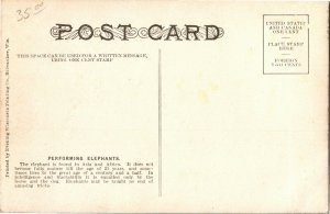 Barnum & Bailey Circus Performing Elephants Vintage Postcard U02