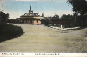 Ossipee NH B&M RR Train Station Depot c1910 Postcard