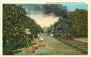 Farm Agriculture Railroad 1920s Postcard Train Teich Orange Groves 8286