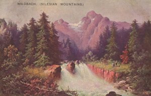 Wildbach Silesian Mountains Antique German Postcard