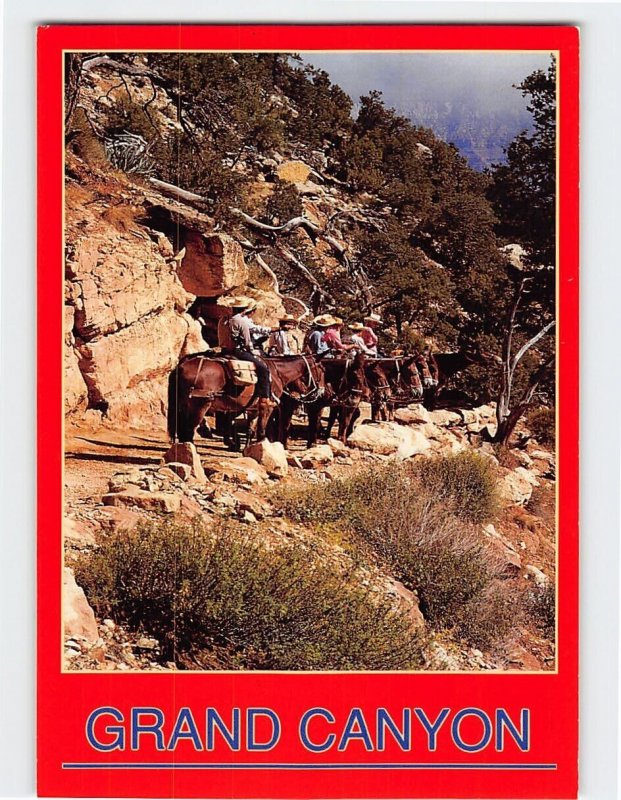 Postcard Mule Train On The Kaibab Trail, Grand Canyon, Arizona