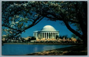 Postcard Washington DC c1960s Jefferson Memorial Cherry Blossoms Tidal Basin