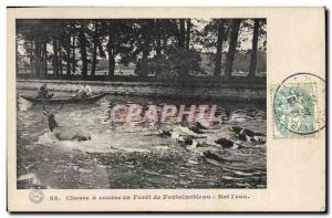 Old Postcard Hunting hounds was in the forest of Fontainebleau Bat l & # 39ea...