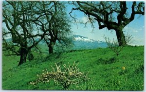 Postcard - Mt. Diablo In The Very Early Spring - California