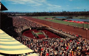 Inglewood, CA, USA Horse Racing Postcard