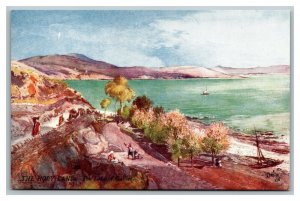 Vintage 1910's Tuck's Postcard The Holy Land The Lake of Galilee