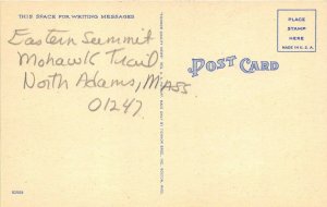 North Adams Massachusetts 1940s Postcard Eastern Summit Mohawk Trail