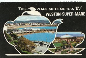 Somerset Postcard - This Place Suits Me To A T - Weston-super-Mare - Ref TZ3817