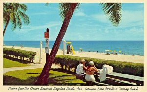 LAKE WORTH DELRAY BEACH FLORIDA~PALMS FACE THE OCEAN~BOYNTON BEACH POSTCARD