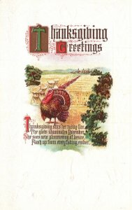 Vintage Postcard Thanksgiving Greetings Turkey Landscape Holiday Souvenir Card