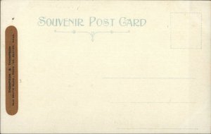 Vineyard Haven Martha's Vineyard MA Main St. c1910 Unused Postcard 