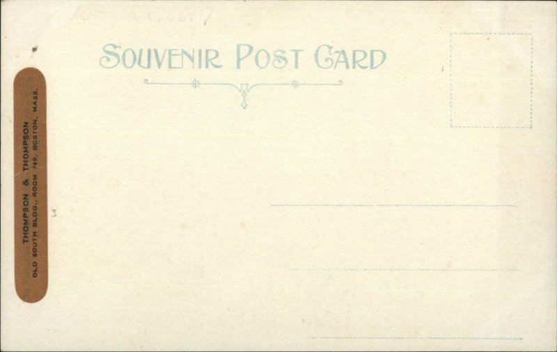 Vineyard Haven Martha's Vineyard MA Main St. c1910 Unused Postcard 