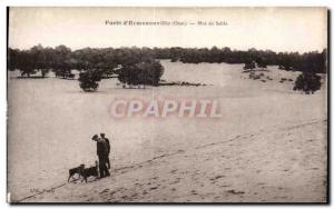 Postcard Old Forest of Ermenonville (Oise) La Mer de Sable