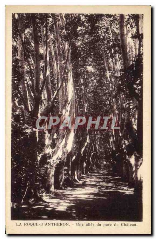 Old Postcard La Roque D'Antheron A Allee du Chateau Park