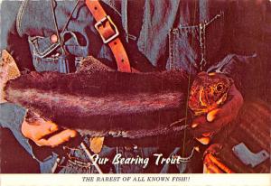 Fur Bearing Trout - 