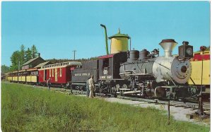 The 1880 Narrow Gauge Train Black Hills Central RR Near Hill City South Dakota