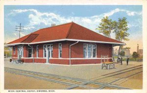 Michigan Central Railroad Depot Owosso MI 1920c postcard