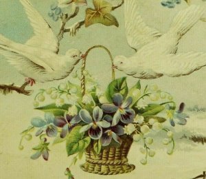 1880's Victorian Embossed Card L. VolkeningSt. Louis German Doves Violets 7A