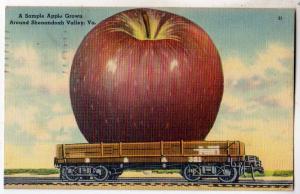 BIG APPLE on RR Car, Shenandoah Valley VA