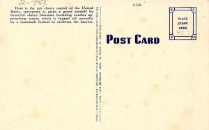 Cherry Picking in Grand Traverse Region, Michigan