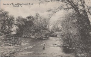 Postcard Junction Big and Little Bushkill Creek Bushkill PA