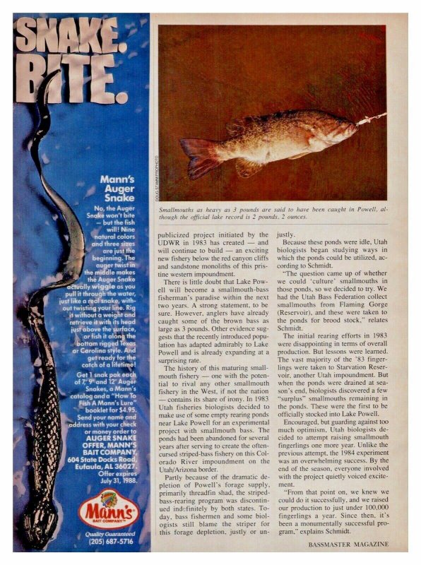 c1988 Tom Mann's Snake Bite Fishing Lure Print Ad Old Fishing Lure