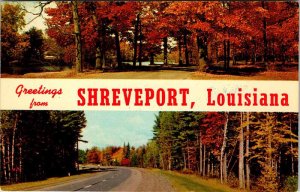 Postcard ROAD SCENE Shreveport Louisiana LA AM4536