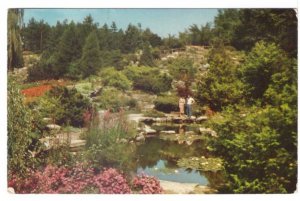 Rock Garden, Hamilton, Ontario, Vintage 1955 Chrome Postcard