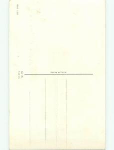 Very Old Foreign Postcard BEAUTIFUL FLOWERS SCENE AA4229