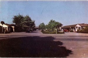 Postcard MOTEL SCENE Santa Rosa California CA AI7105