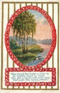 Vintage Postcard 1911 Greetings Tree Lake Birds This World Embossed