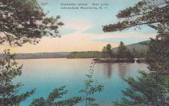 New York Adirondack Mountains Hiawatha Island Star Lake Albertype