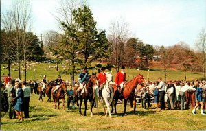 Lead Riders, Block House Steeplechase Races Tryon NC Vintage Postcard L71