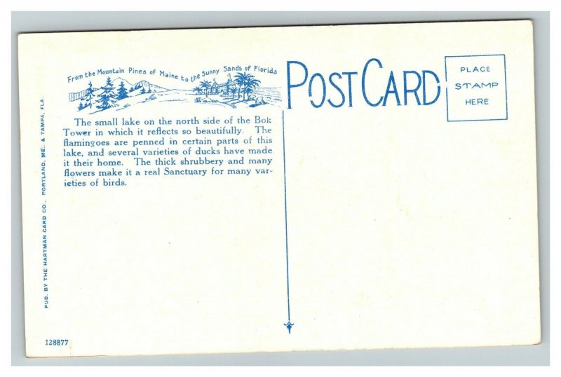 Vintage 1920's Postcard Swimmers at Mountain Lake Sanctuary Lake Wales Florida