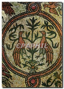 Modern Postcard Venezia Basilica di S Marco Pavement has twelfth century mosa...