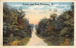 East Palestine Ohio 1920s Greetings Postcard Forest Road Scene