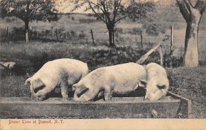 Dinner Time Deposit, New York, USA Postal Used Unknown, Missing Stamp 