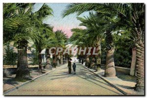 Old Postcard Menton Allee des Palmiers