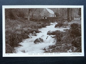 Cornwall TREVERBYN Trenant Bridge - Old RP Postcard by George W.F. Ellis