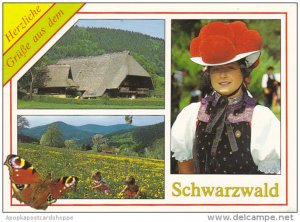 Greetings Gruesse Aus Dem Schwarzwald Germany